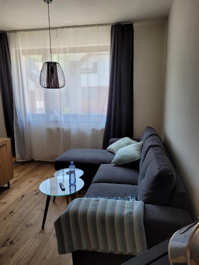 Artur Apartment Myto Mýto pod Ďumbierom Buitenkant foto